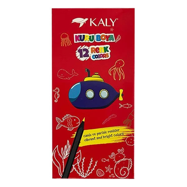 12 Renk Tam Boy Kuru Boya